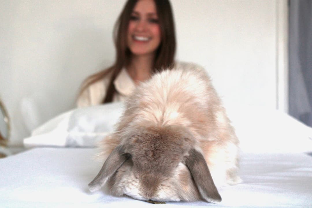 Butterbean being curious