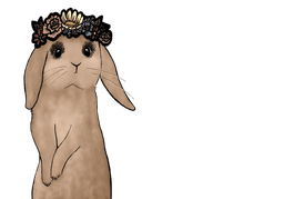 The Lash Burrow logo